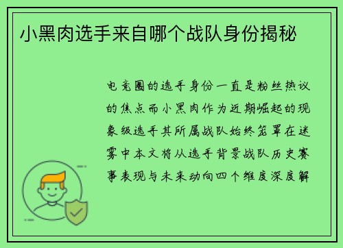 小黑肉选手来自哪个战队身份揭秘