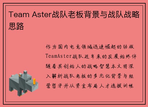 Team Aster战队老板背景与战队战略思路