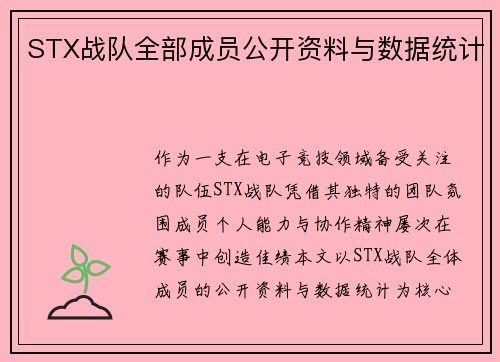 STX战队全部成员公开资料与数据统计